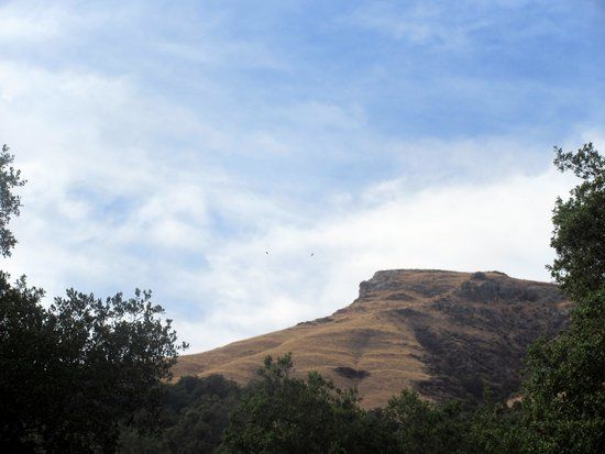 Ohlone Regional Wilderness